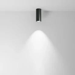 Deckenleuchte 'Focus 12'