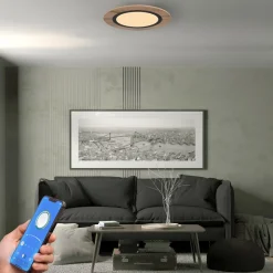 Deckenleuchte 'Hasbi HF3'