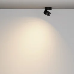 Deckenleuchte 'Lens 2'