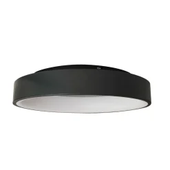 Deckenleuchte 'Silen 1G'