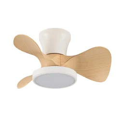 Deckenventilator 'Moll MC1'