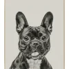 Gerahmte Fotografie 'Everybody's Darling' 40x60cm
