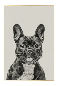 Gerahmte Fotografie 'Everybody's Darling' 40x60cm