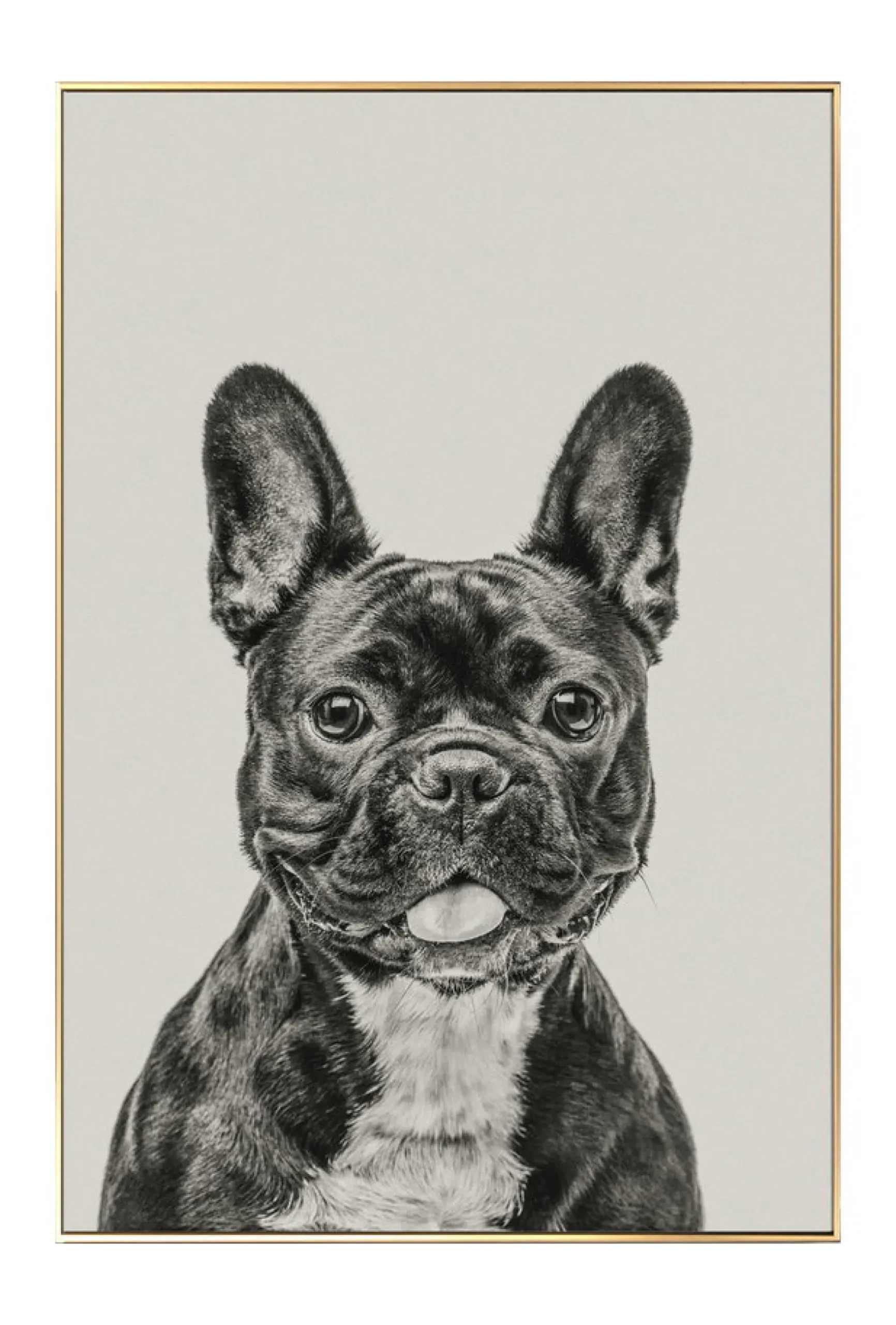Gerahmte Fotografie 'Everybody's Darling' 40x60cm