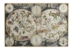 Gerahmte Fotografie 'Lost Animals' 90x60cm