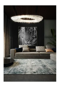 Gerahmte Fotografie 'Tiger's Glance' 60x60cm