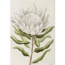 Handgemaltes Gemälde 'Protea-Stille' | Echtheitszertifikat inklusive