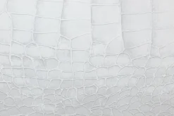 Handgemaltes Gemälde 'White Snake' 100x75cm | inkl. Echtheitszertifikat