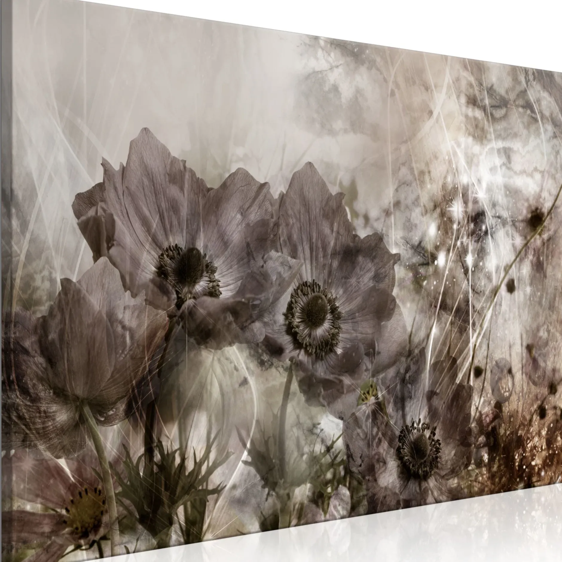 Kunstdruck auf Leinwand 'Anemones in Sepia Wide'