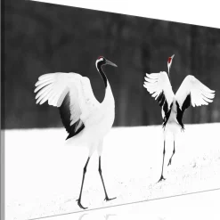 Kunstdruck auf Leinwand 'Dancing Cranes Wide'