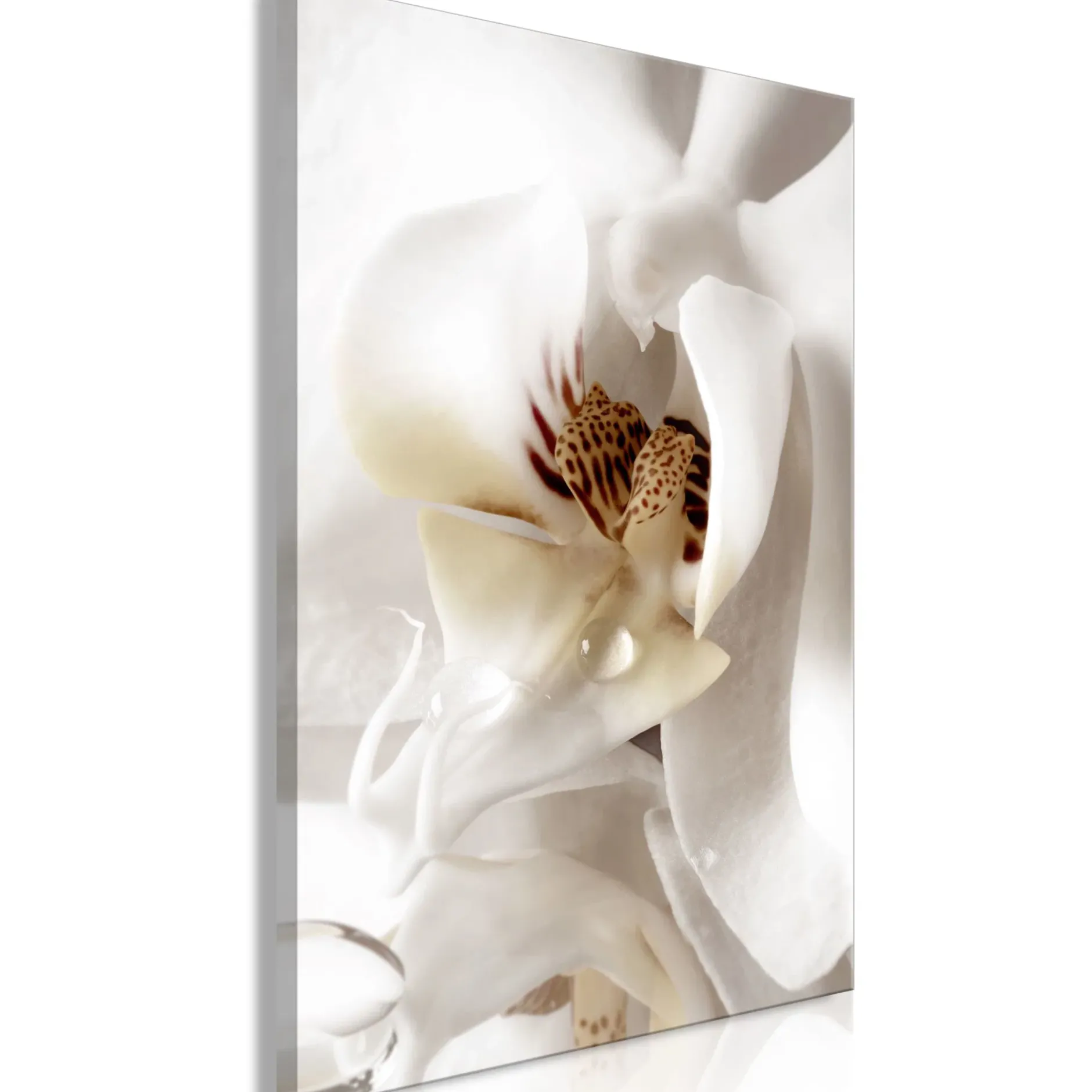 Kunstdruck auf Leinwand 'Drop Of Dreams Vertical'