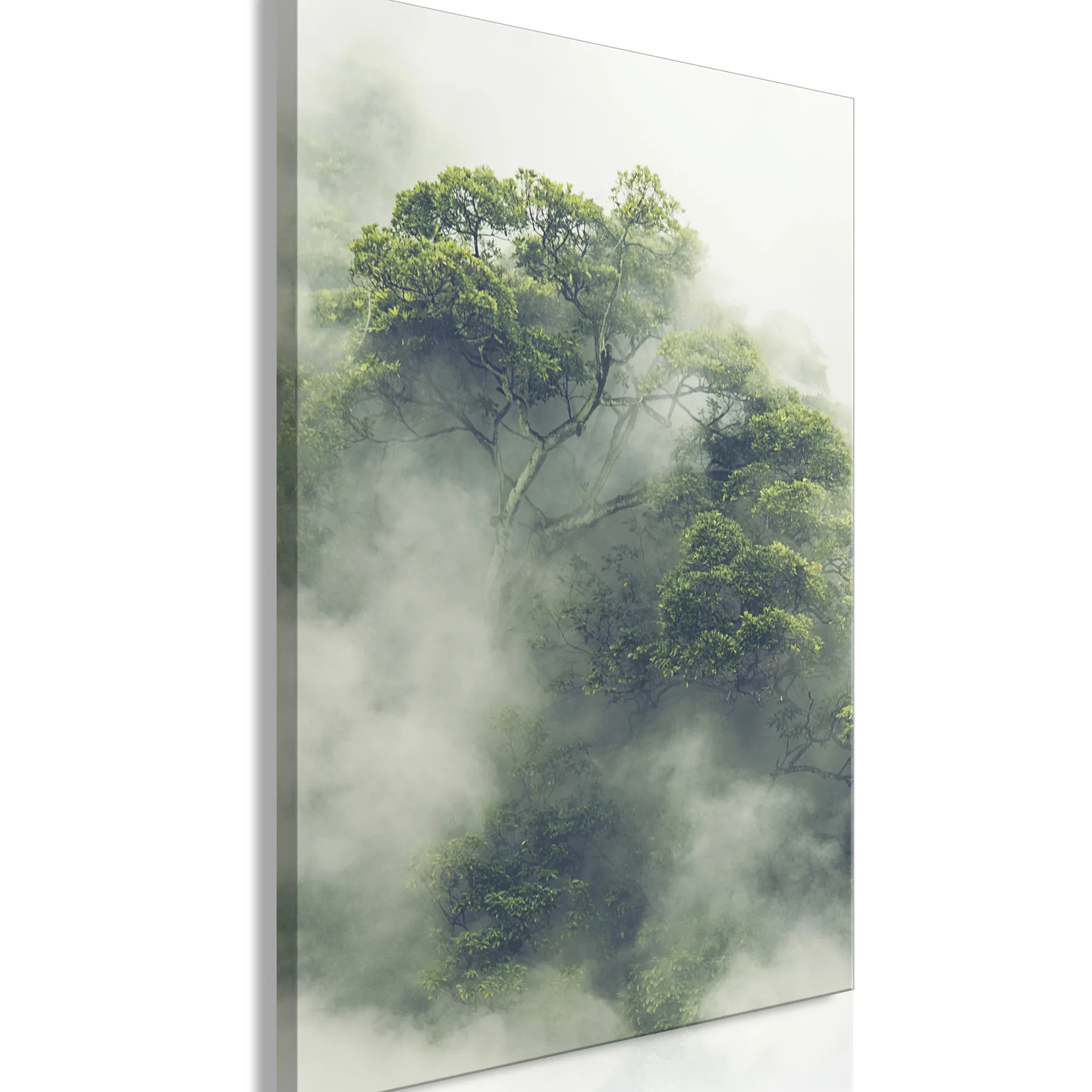 Kunstdruck auf Leinwand 'Foggy Amazon Vertical'