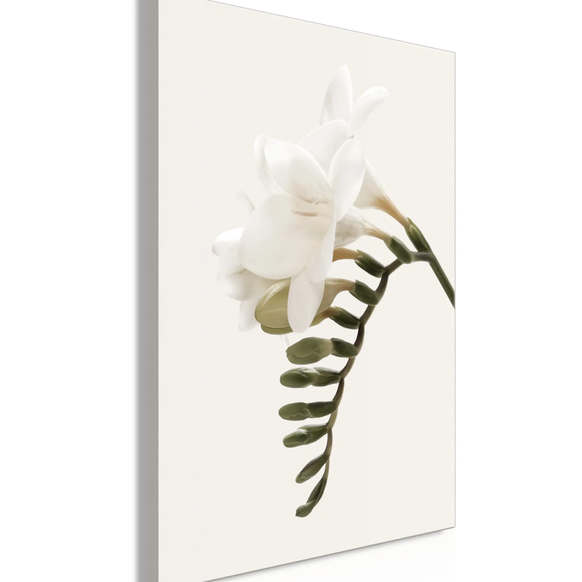 Kunstdruck auf Leinwand 'Spring Headdress Vertical'