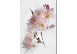 Kunstdruck auf Leinwand 'Spring in Japan Vertical'