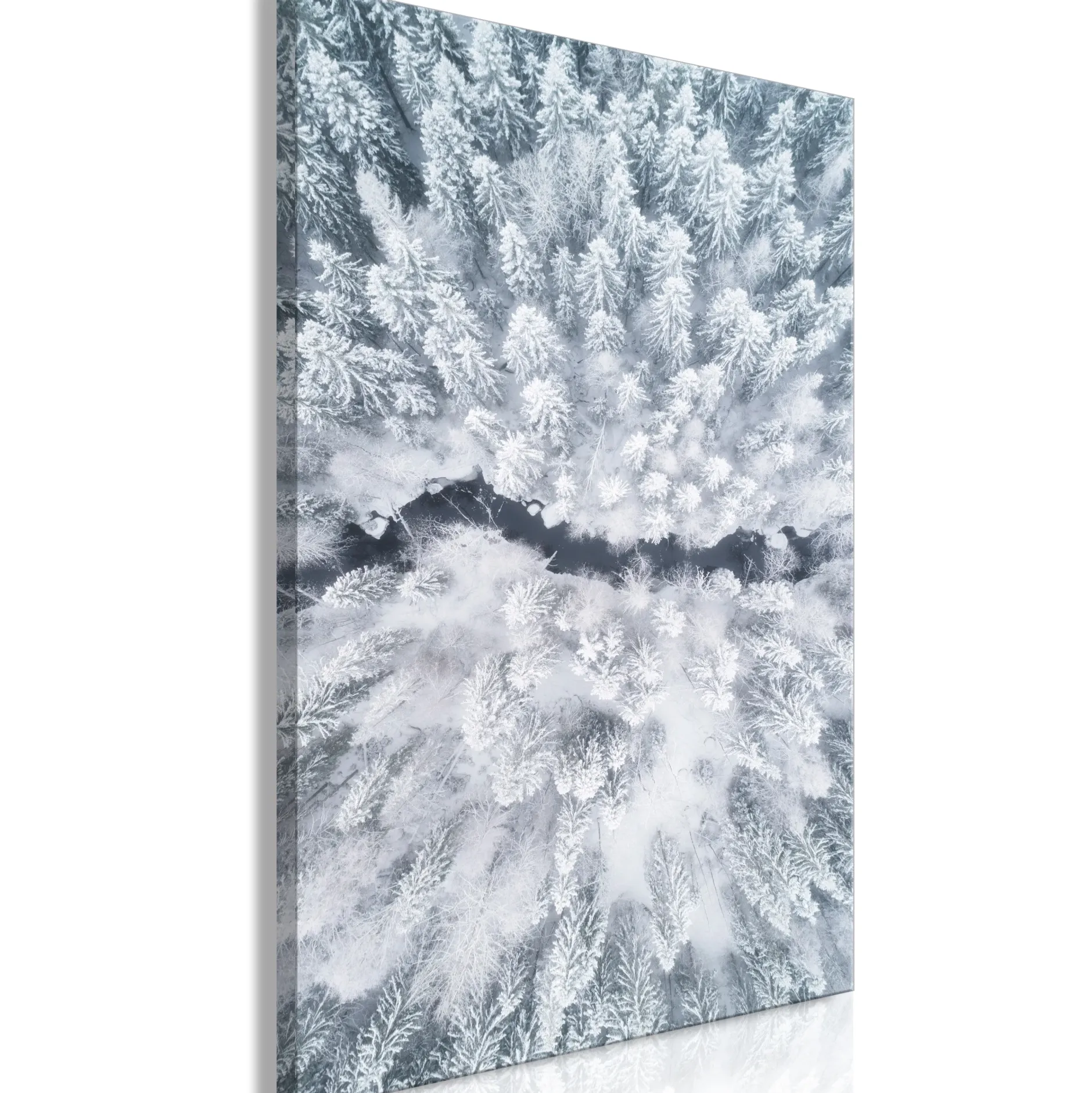 Kunstdruck auf Leinwand 'Tree Crowns Vertical'