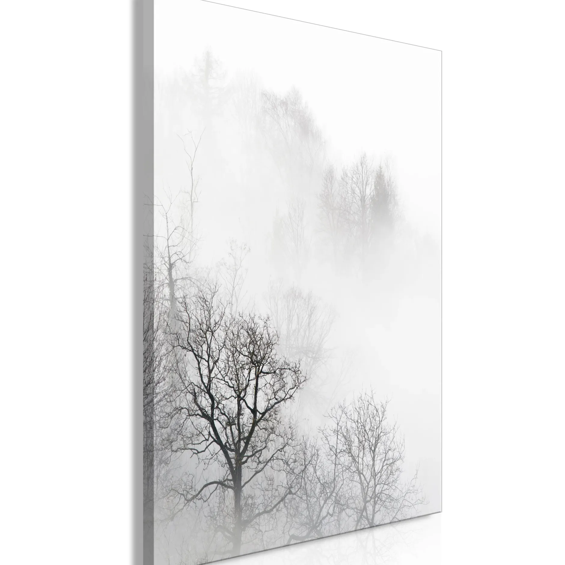 Kunstdruck auf Leinwand 'Trees In The Fog Vertical'