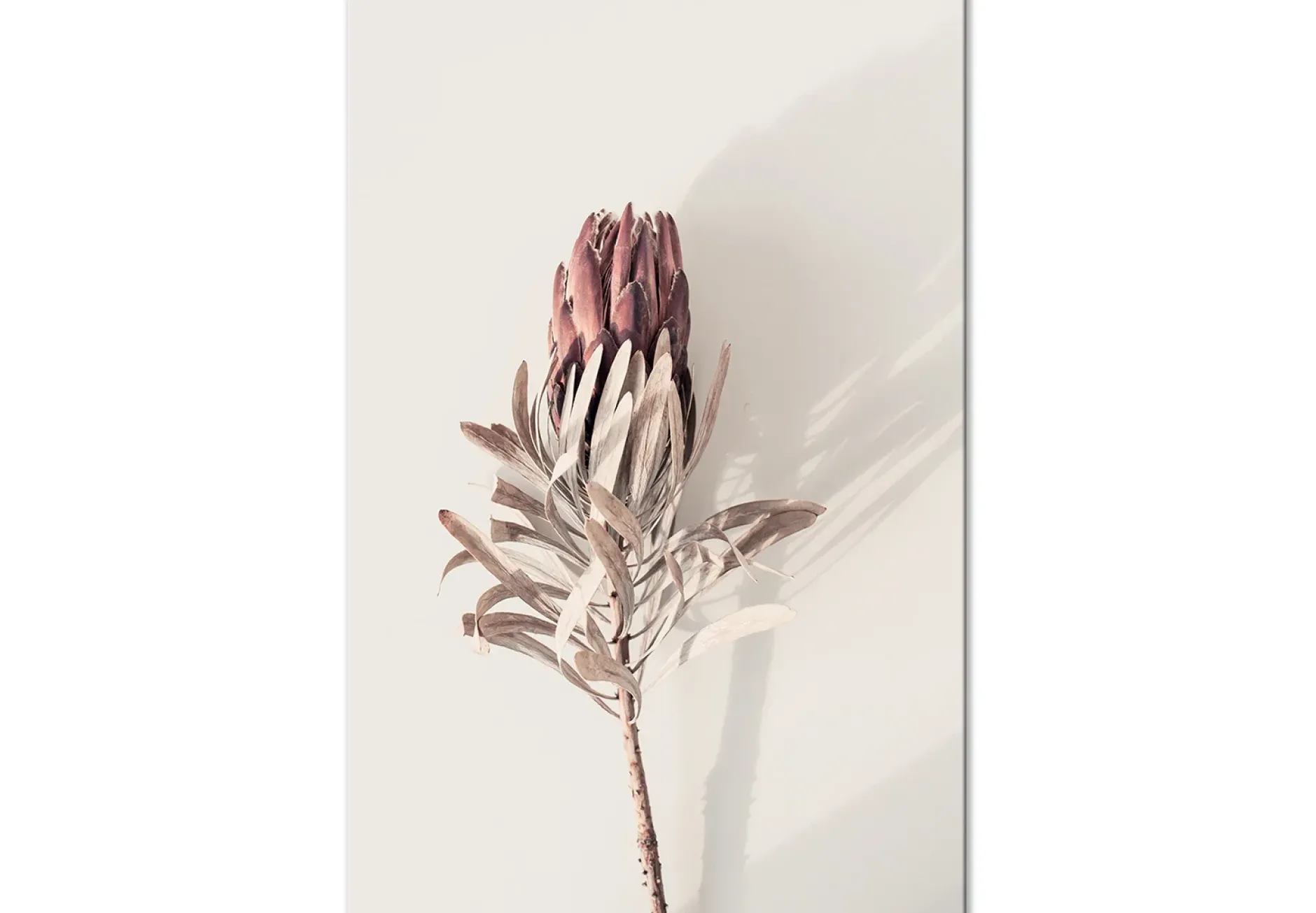 Kunstdruck auf Leinwand 'Tropical Bud Vertical'