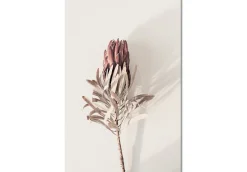Kunstdruck auf Leinwand 'Tropical Bud Vertical'