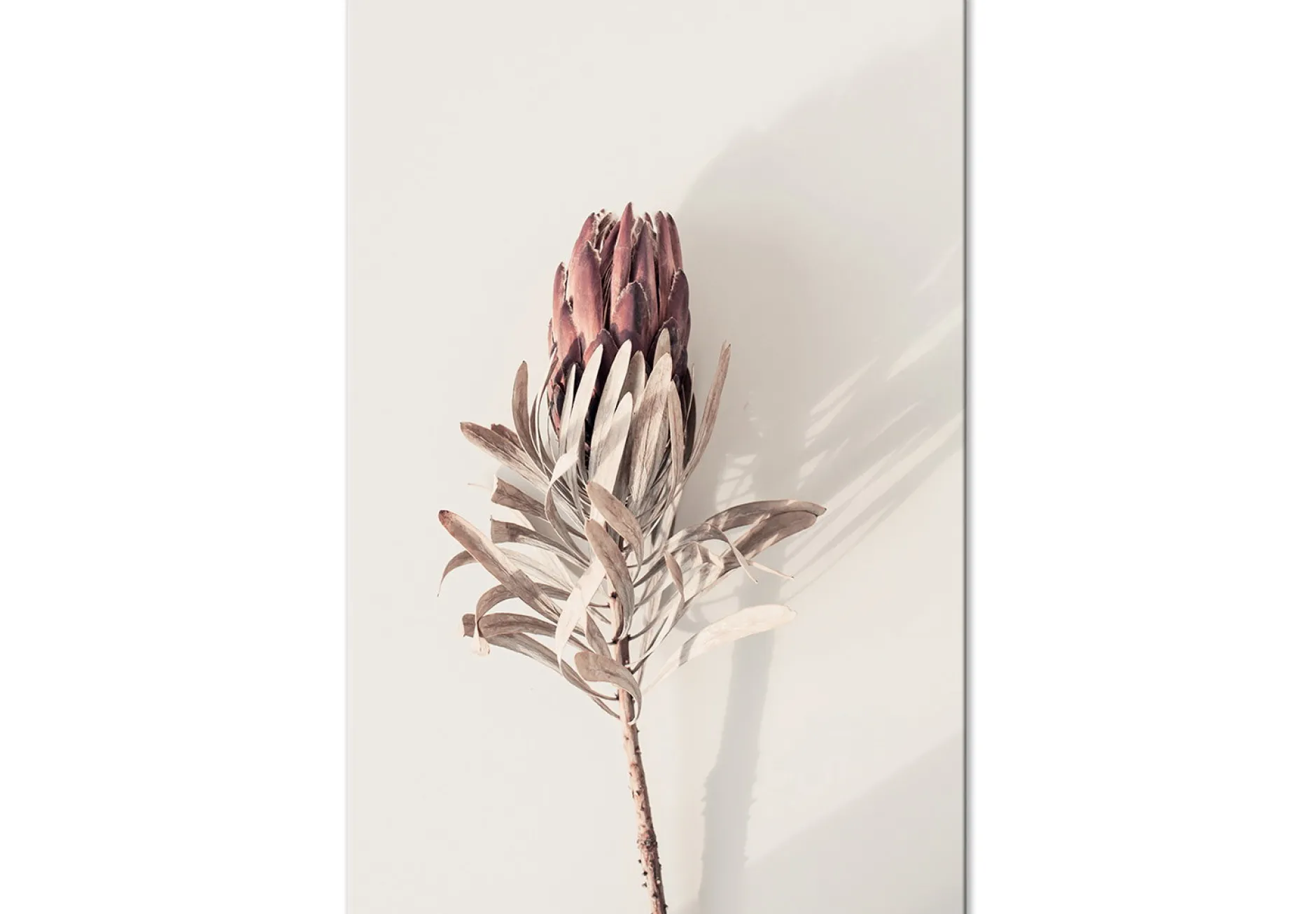 Kunstdruck auf Leinwand 'Tropical Bud Vertical'