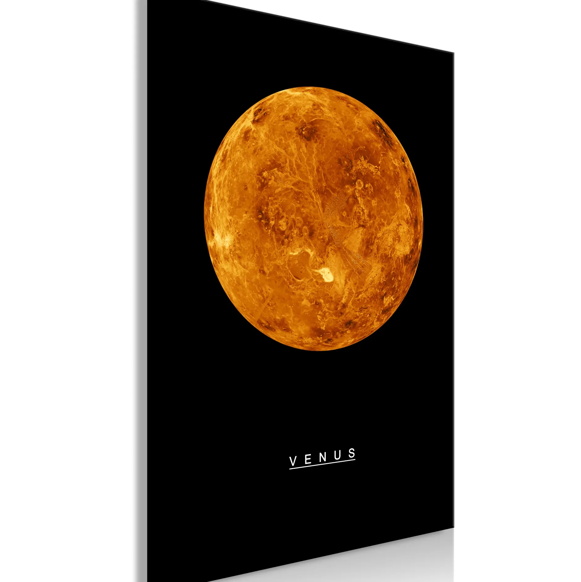 Kunstdruck auf Leinwand 'Venus Vertical'