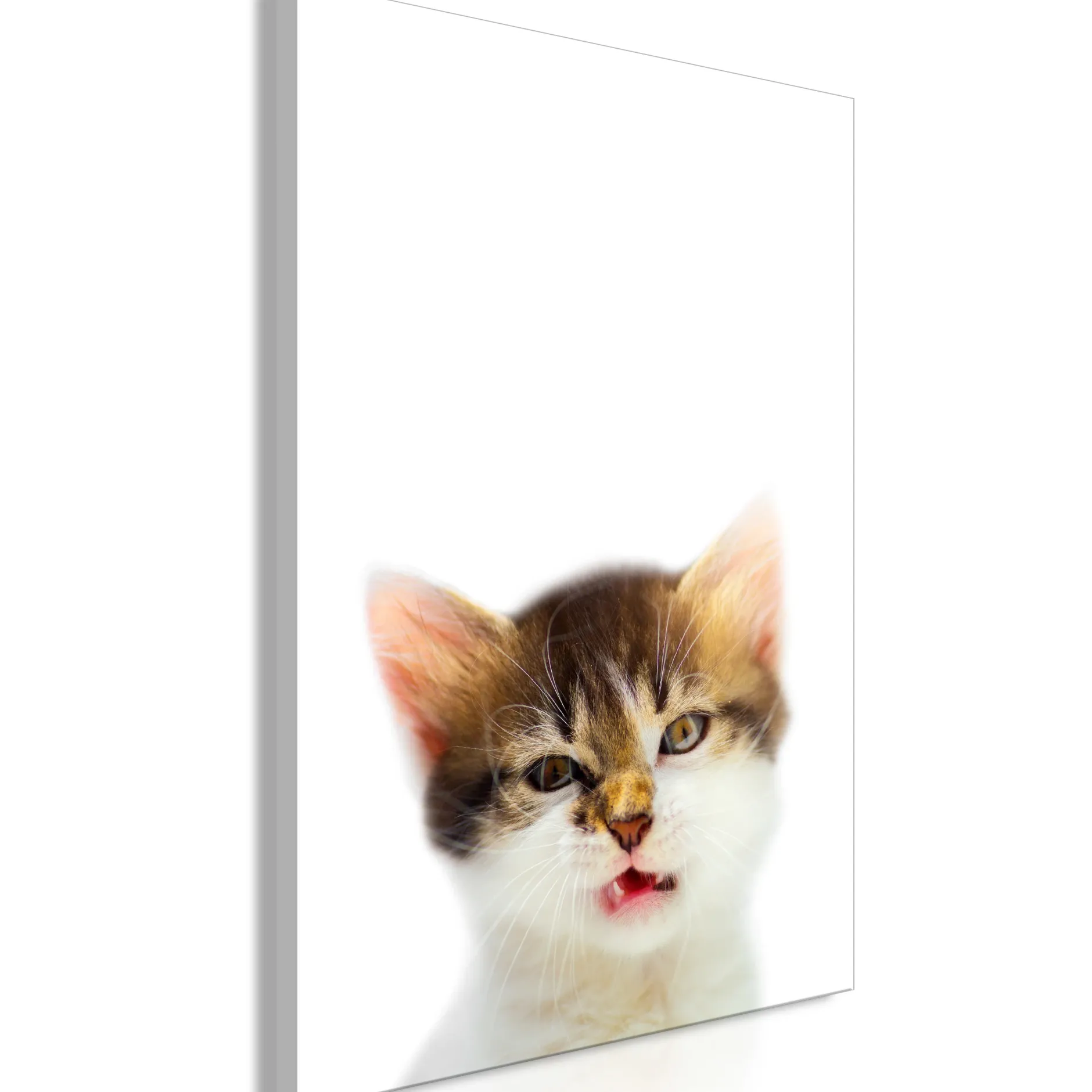 Kunstdruck auf Leinwand 'Vexed Cat Vertical'
