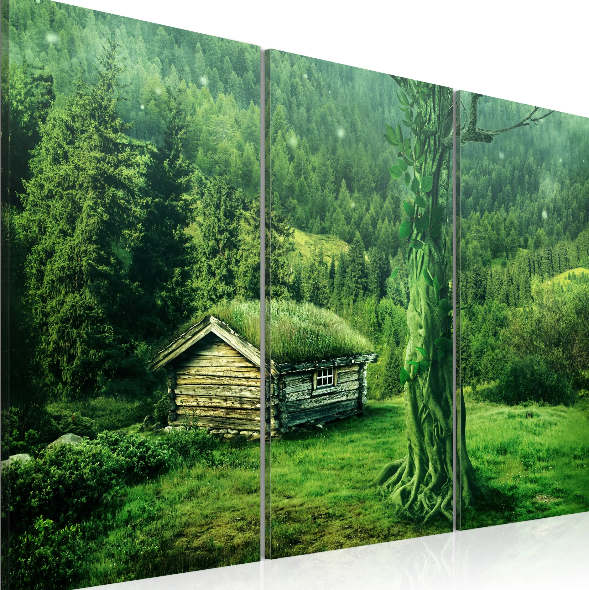 Kunstdruck auf Leinwand 'Wald: Ökosystem'