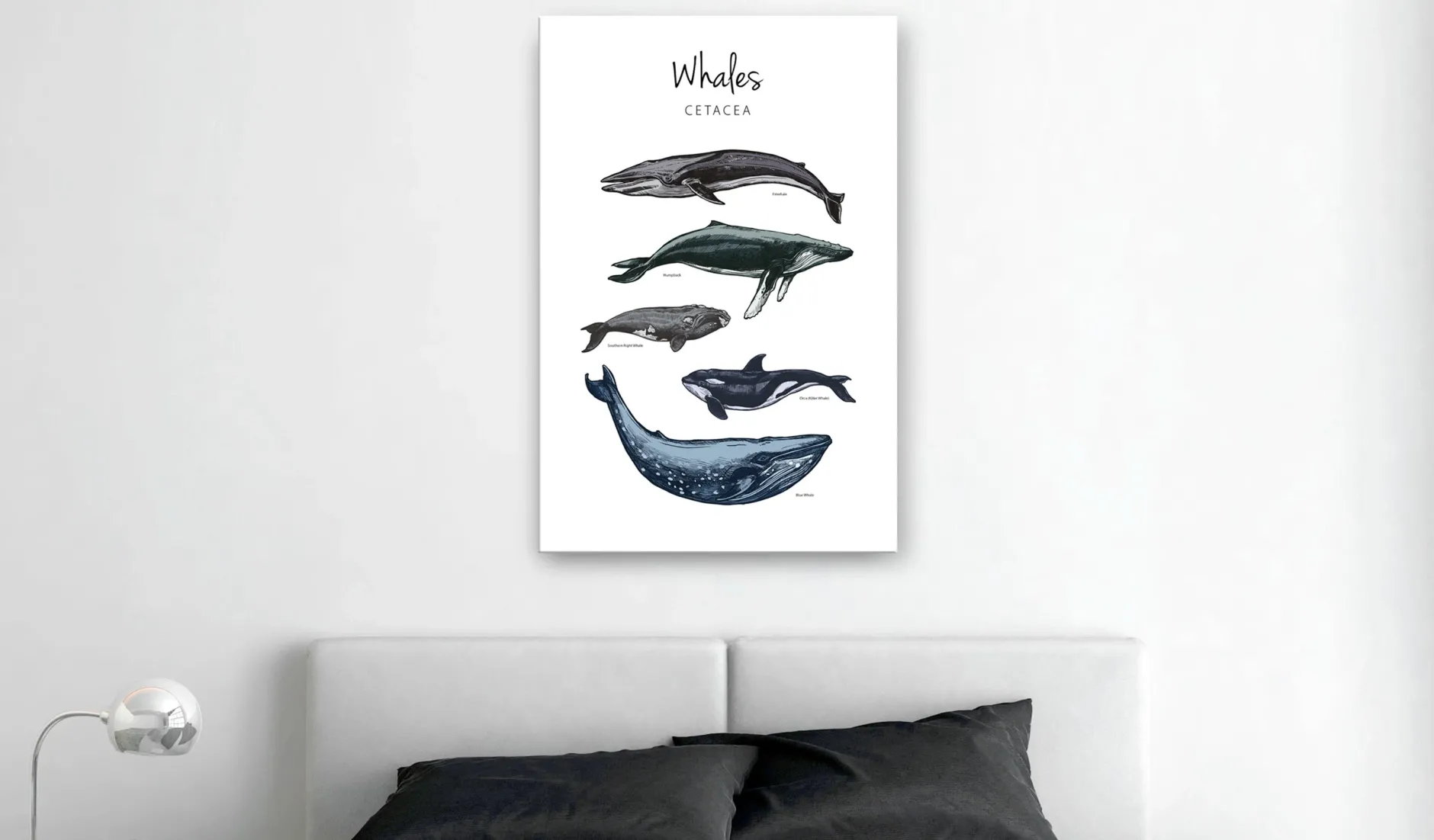 Kunstdruck auf Leinwand 'Whales Vertical'