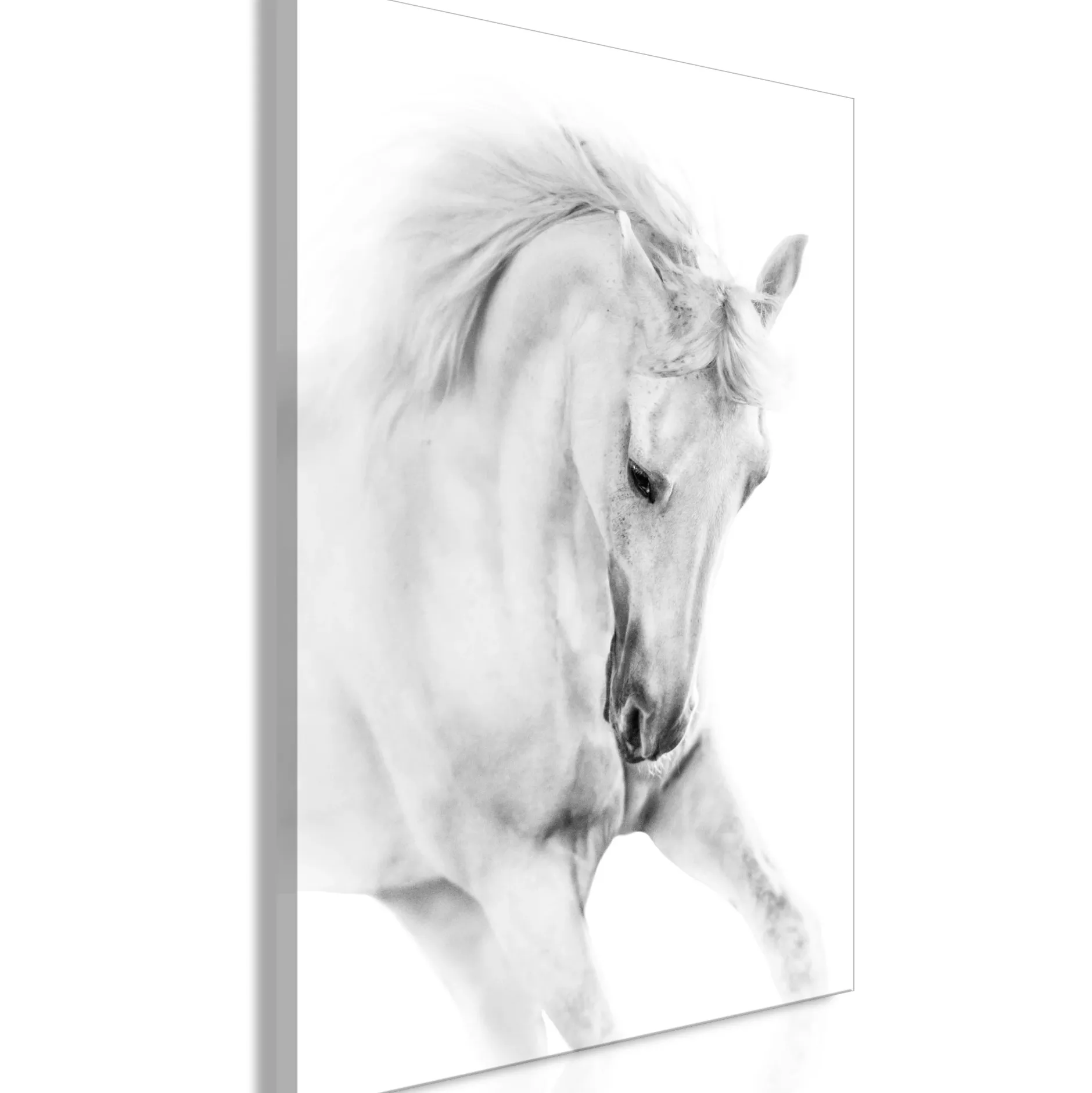 Kunstdruck auf Leinwand 'White Horse Vertical'