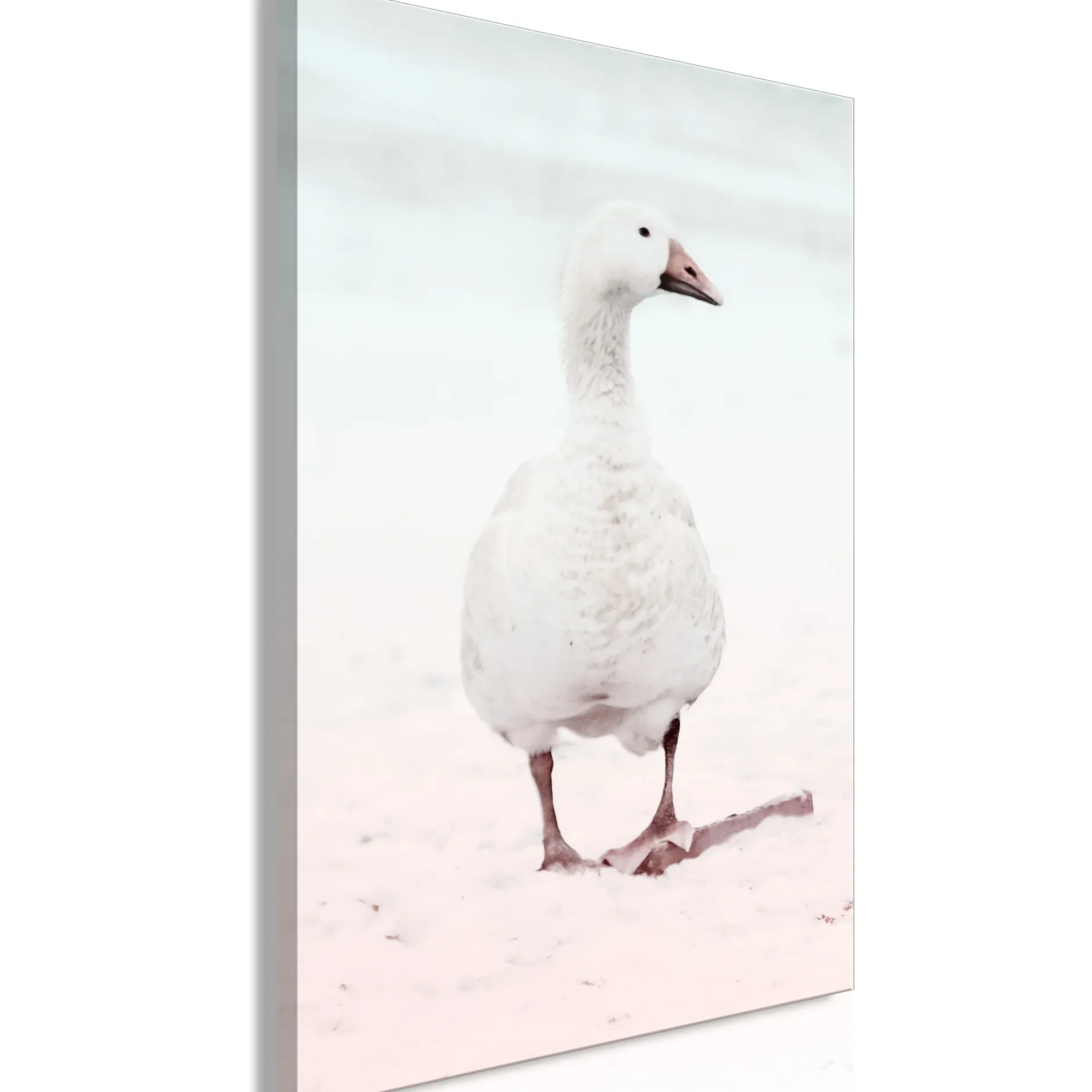 Kunstdruck auf Leinwand 'Winter Duck Vertical'