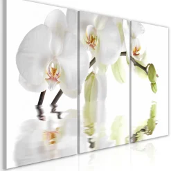 Kunstdruck auf Leinwand 'Wonderful Orchid (3-teilig)'