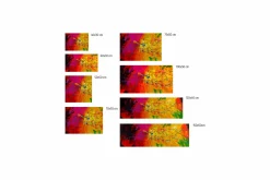 Kunstdruck 'Lucid Dream'