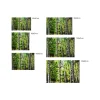 Kunstdruck 'Sanfter Gruß durch den Wald'