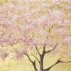 Kunstdruck 'Short and Sweet Sakura'