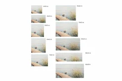 Kunstdruck 'Stiller Sommertag'