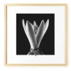 Kunstfotografie 'Flower of Hope' 50x50cm | Limitierte, handsignierte Edition