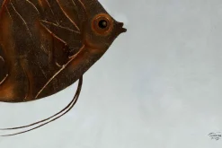 Öl Gemälde 'Curious Fish' | Handgemaltes Unikat
