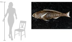 Öl Gemälde 'König der Fische' | Handgemaltes Unikat