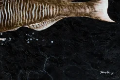 Öl Gemälde 'König der Fische' | Handgemaltes Unikat