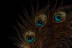 Öl Gemälde 'Peacock footprints' | Handgemaltes Unikat