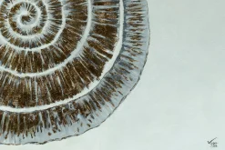 Öl Gemälde 'Pearlescent Conch' | Handgemaltes Unikat