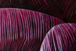 Öl Gemälde 'Purple Jungle' | Handgemaltes Unikat