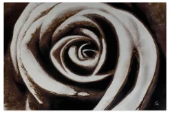 Öl Gemälde 'Rose of Romanticism' | Handgemaltes Unikat