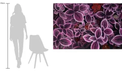 Öl Gemälde 'Shades of Purple' | Handgemaltes Unikat