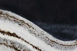 Öl Gemälde 'Shimmery Details' | Handgemaltes Unikat