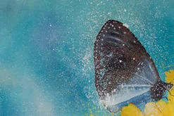 Öl Gemälde 'The Lightness of Being' | Handgemaltes Unikat
