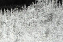 Öl Gemälde 'Winter's Mark' | Handgemaltes Unikat