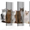 Paravent 'Sweet Cats II'