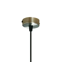 Pendelleuchte 'Ari AP1'