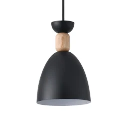 Pendelleuchte 'Cloe CC1'
