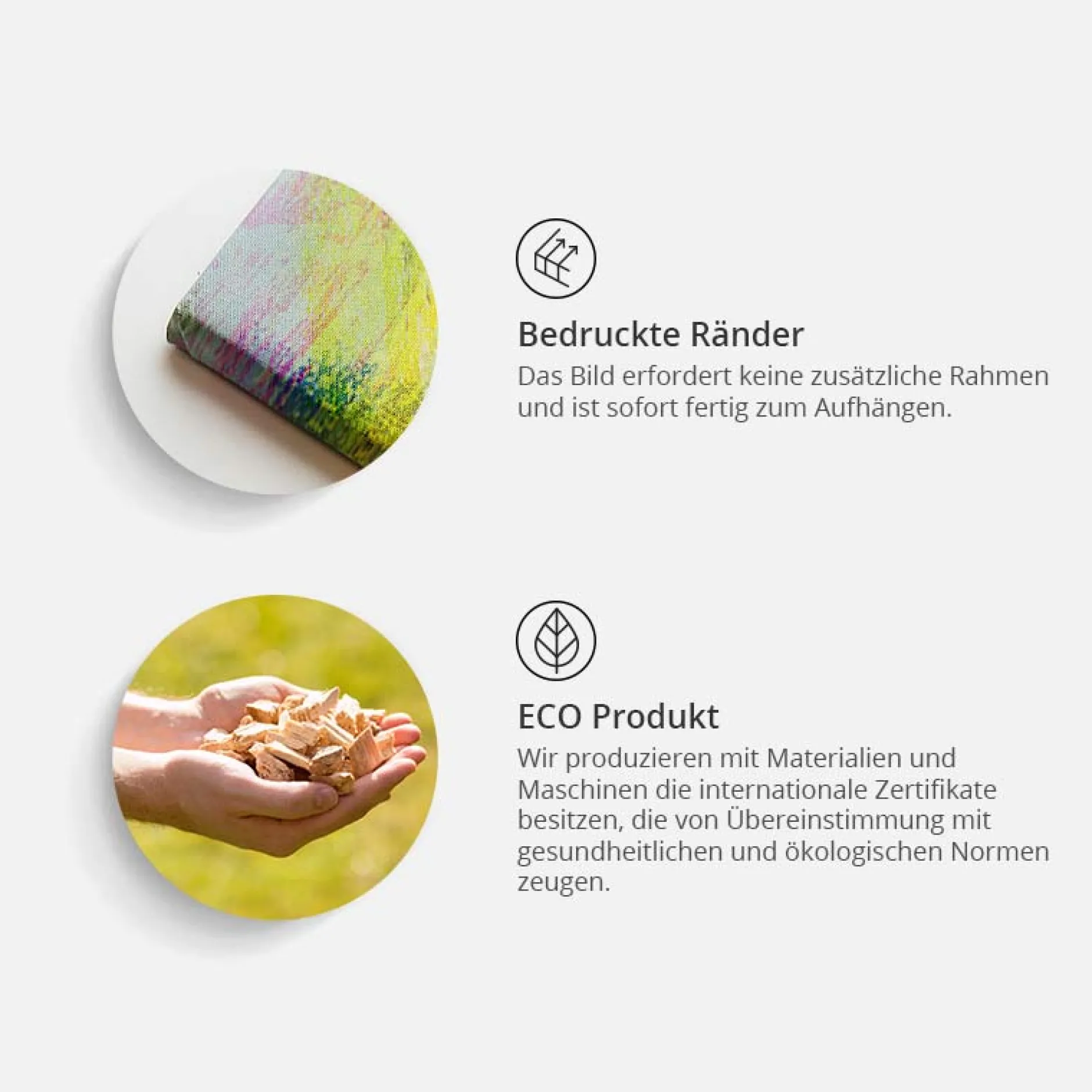 Pinnwand Bild 'Free as a bird'